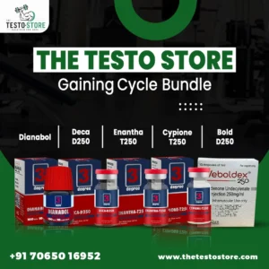 Gaining Cycle 2 Bundle