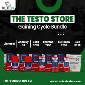 Gaining Cycle 1 Bundle