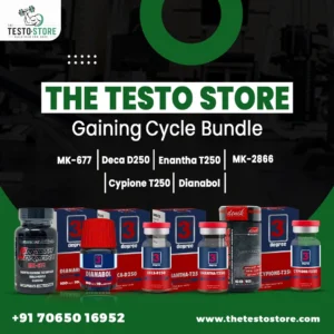 Gaining Cycle Sarms 2 Bundle
